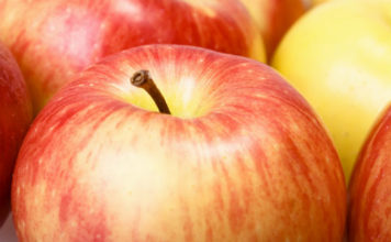 Sagra della mela Annurca 1331 0 Sagra della mela Annurca